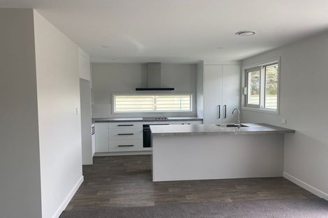 Photo of property in 37 Elizabeth Street, Feilding, 4702