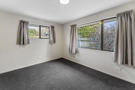 Photo of property in 16 Appaloosa Avenue, Richmond, 7020