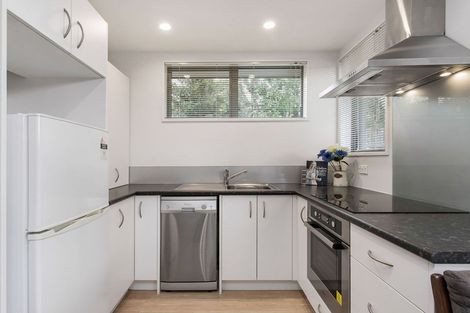 Photo of property in 25b Howard Street, Spreydon, Christchurch, 8024