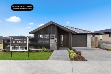 Photo of property in 9 Lumino Terrace, Peacocke, 3206