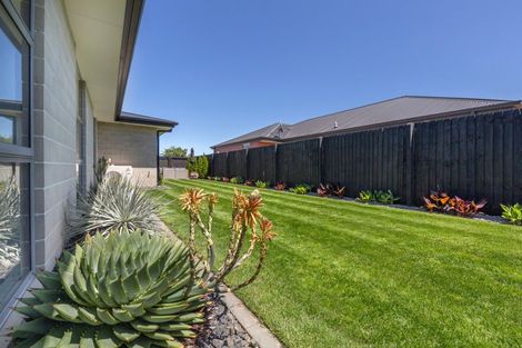 Photo of property in 58 Quartz Drive, Rolleston, 7614