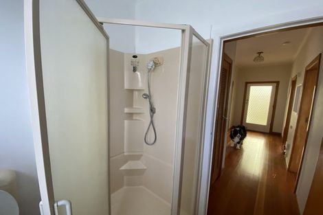 Photo of property in 22 Niccol Avenue, Narrow Neck, Auckland, 0624