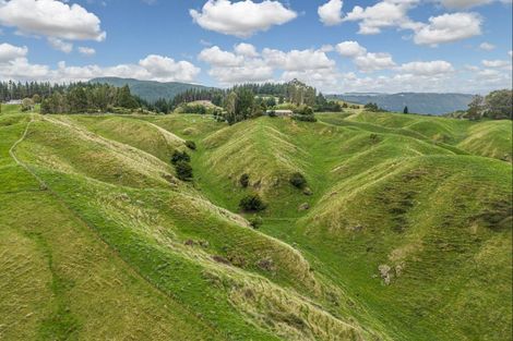 Photo of property in 81 Kaiwaka Road, Tangoio, Napier, 4181