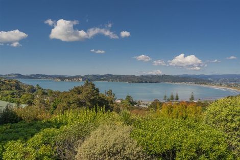 Photo of property in 62 Centennial Drive, Whitianga, 3510