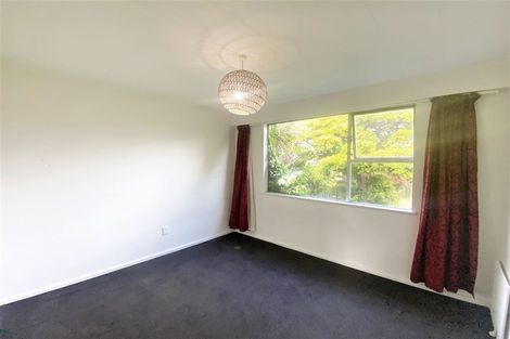 Photo of property in 55 Opawa Road, Waltham, Christchurch, 8023
