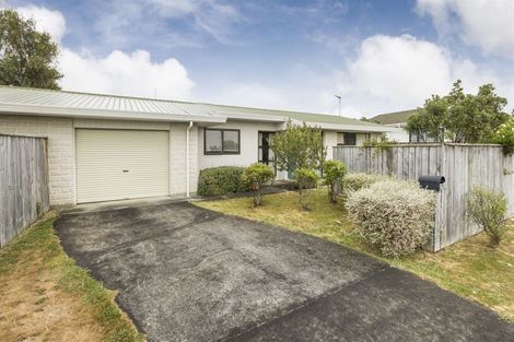 Photo of property in 14a Giesen Road, Feilding, 4702
