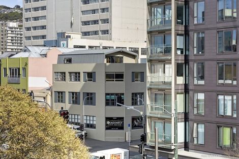 Photo of property in Vsp South, 301/168u Victoria Street, Te Aro, Wellington, 6011