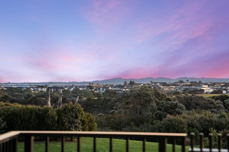 Photo of property in 22 Catalina Drive, Hobsonville, Auckland, 0616
