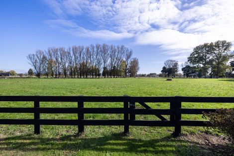 Photo of property in 16 Mill Road, Ohaupo, 3881