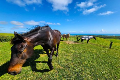 Photo of property in 627 Mahuta Road, Mahuta, Dargaville, 0371
