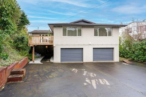 Photo of property in 45 Leven Street, Roslyn, Dunedin, 9010