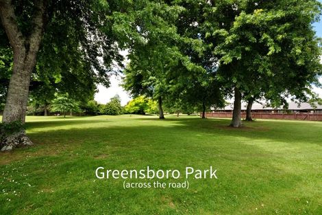 Photo of property in 23c Greensboro Street, Hamilton East, Hamilton, 3216