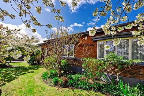 Photo of property in 58 Wellington Street, Georgetown, Invercargill, 9812