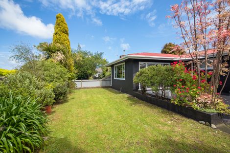 Photo of property in 23 Featherston Street, Takaro, Palmerston North, 4412