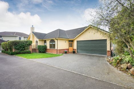 Photo of property in 103c Fitzroy Street, Terrace End, Palmerston North, 4410