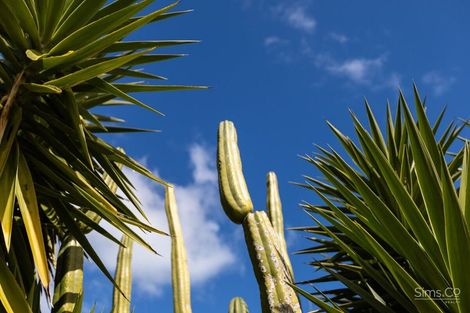 Photo of property in 38 Tongariro Street, Castlecliff, Wanganui, 4501