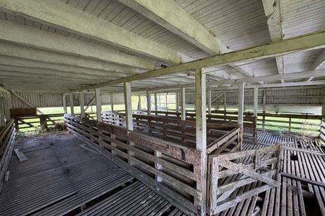 Photo of property in 445 Avoca Road, Mamaranui, Dargaville, 0372