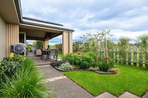 Photo of property in 299 Carmichael Road, Brookfield, Tauranga, 3110