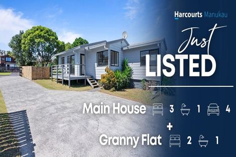 Photo of property in 175 Finlayson Avenue, Clendon Park, Auckland, 2103