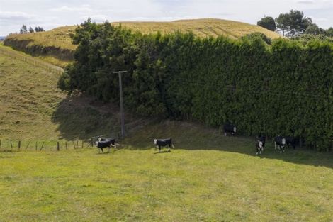Photo of property in 160 Pukemapu Road, Oropi, Tauranga, 3173
