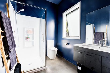 Photo of property in 335 Puniu Road, Te Awamutu, 3800