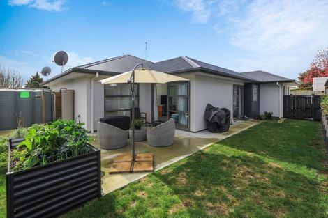 Photo of property in 4u2 Ross View Terrace, Dinsdale, Hamilton, 3204