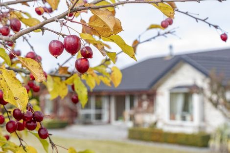 Photo of property in 37 Alessio Lane, Swannanoa, Rangiora, 7475