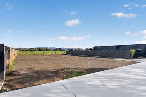 Photo of property in 42d Colville Street, Masterton, 5810