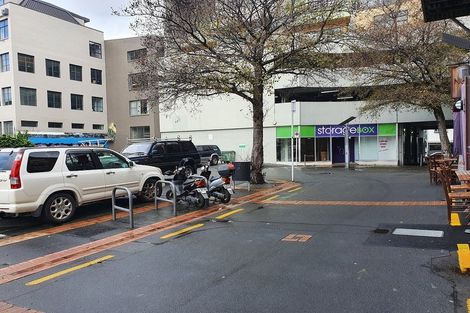 Photo of property in Marion Square Apartments, 3/26 Marion Street, Te Aro, Wellington, 6011