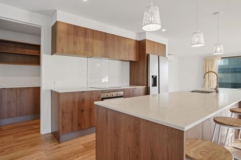 Photo of property in 47 Canon Street, St Albans, Christchurch, 8014