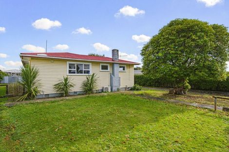 Photo of property in 12 Cargill Street, Levin, 5510