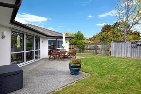 Photo of property in 175 Queen Street, Richmond, 7020