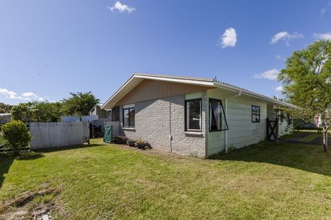 Photo of property in 19 Porritt Place, Waipukurau, 4200