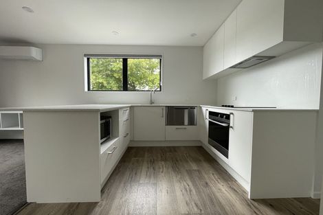 Photo of property in 35a Clarence Street South, Addington, Christchurch, 8024