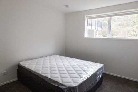 Photo of property in 33 Malvern Street, Woodhaugh, Dunedin, 9010