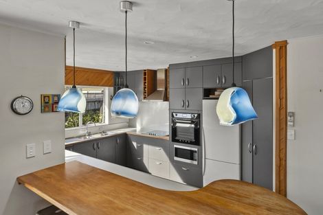 Photo of property in 6 Ledger Close, Richmond, 7020