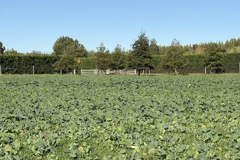 Photo of property in 118 Mairaki Road, Fernside, Rangiora, 7471