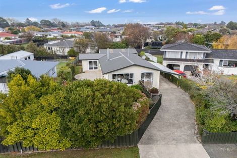 Photo of property in 255 Talbot Street, Hargest, Invercargill, 9810