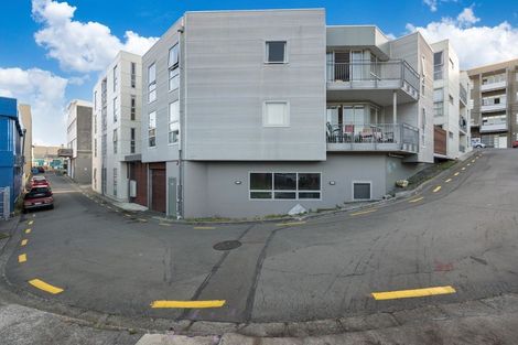 Photo of property in Hanson House, 1a/27 Hanson Street, Mount Cook, Wellington, 6021