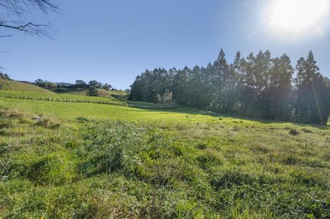 Photo of property in 60 Saxton Road, Upper Vogeltown, New Plymouth, 4371