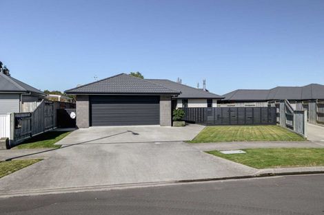 Photo of property in 33 Monarch Drive, Ashhurst, 4810