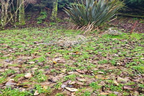 Photo of property in 482 Krippner Road, Puhoi, Warkworth, 0994