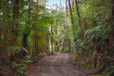 Photo of property in 251 State Highway 30, Tikitere, Rotorua, 3074