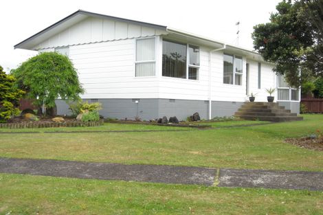 Photo of property in 19 Paterson Avenue, Pukekohe, 2120