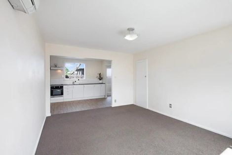 Photo of property in 4/183 Hastings Street East, Waltham, Christchurch, 8023