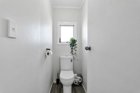 Photo of property in 17 Juliet Street, Stratford, 4332