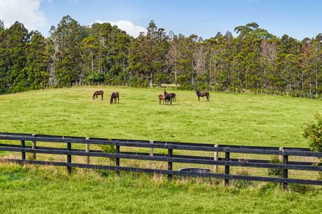 Photo of property in 145 Hanham Road, Kumeu, 0891