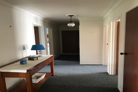 Photo of property in 56 Alison Street, Hamilton Lake, Hamilton, 3204