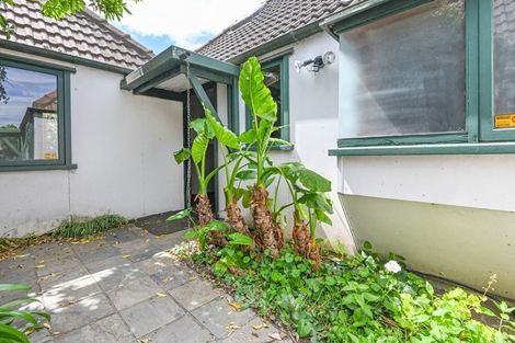 Photo of property in 720 Ballantyne Street, Frimley, Hastings, 4120