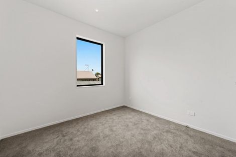 Photo of property in 2u4 Manning Street, Hamilton Central, Hamilton, 3204
